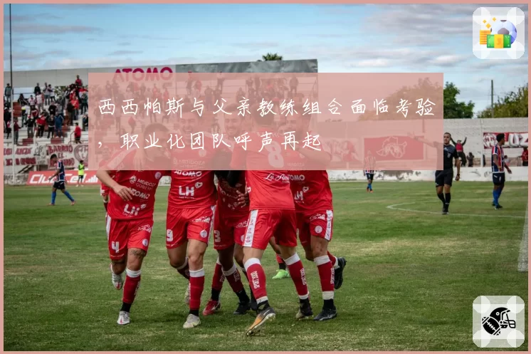 西西帕斯与父亲教练组合面临考验,职业化团队呼声再起