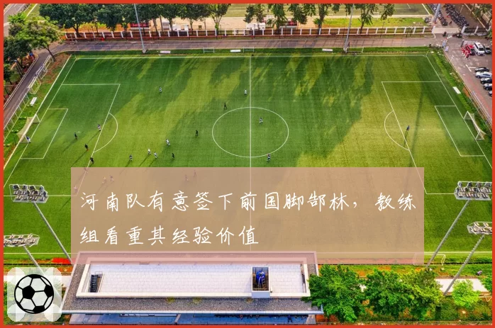 河南队有意签下前国脚郜林，教练组看重其经验价值