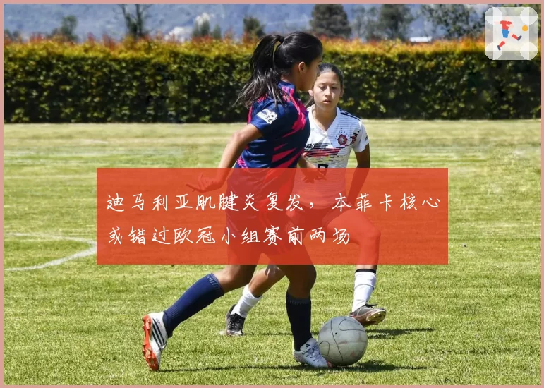 迪马利亚肌腱炎复发,本菲卡核心或错过欧冠小组赛前两场