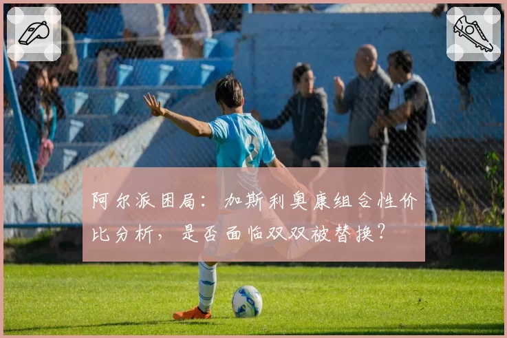 阿尔派困局：加斯利奥康组合性价比分析，是否面临双双被替换？